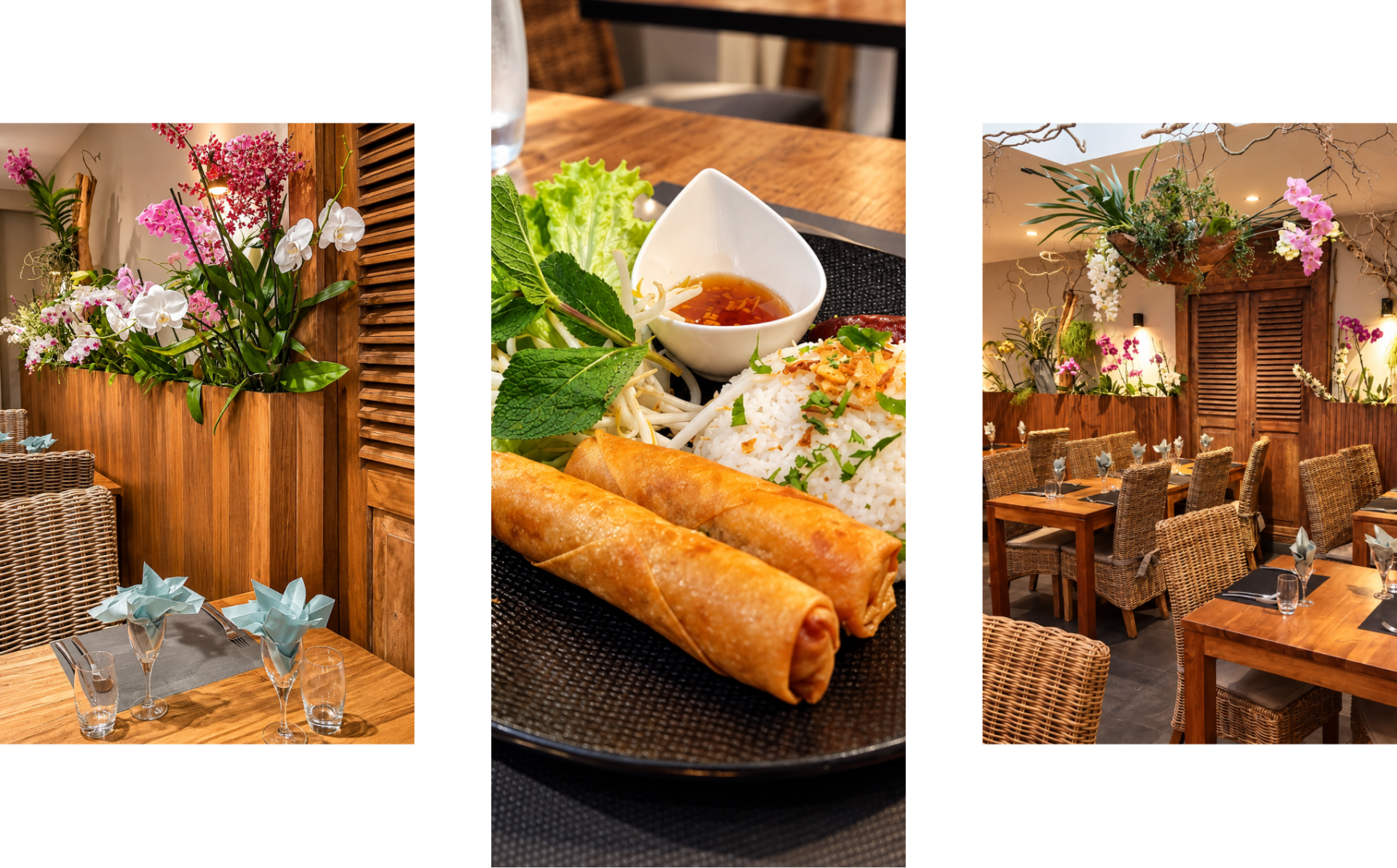 Tiparothaï - Restaurant Lille - Restaurant Thai Lille - Restaurant Thaï Lille - Restaurant Thaïlandais Lille - Restaurant Thailandais Lille