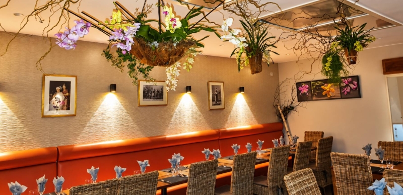 Le restaurant - Tiparothaï - Restaurant Lille - Restaurant pad thaï Lille - Restaurant pad thai Lille